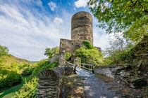 Burg Stahlberg 29 von Erhard Hess