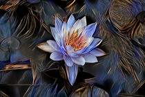 Nymphaea Cultivar von Artly Studio