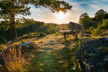 Bench on rock hillside of Franconian Switzerland by raphotography88