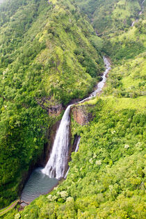 Jurassic Falls von Dirk Rüter