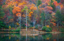 Fall in Georgia by William Schmid