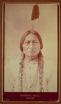 Sitting Bull von David Frances Barry