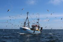 Fischkutter auf Heimfahrt von Tim Trzoska