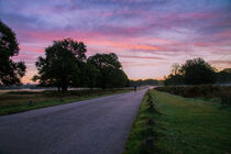 Cyclist at sunrise von Milton Cogheil