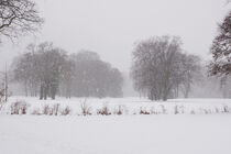 Winter von Bernd Fülle