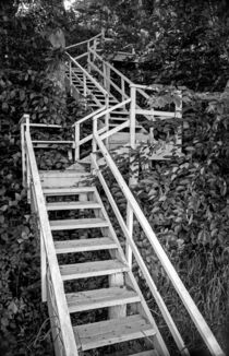 The Steps to the Harbor von David Halperin