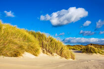 Landschaft mit Dünen auf der Insel Amrum von Rico Ködder