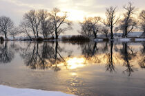 Winterlandschaft mit Sonnenuntergang am Wasser. Wolkenlos. Winter. Havelland. by havelmomente