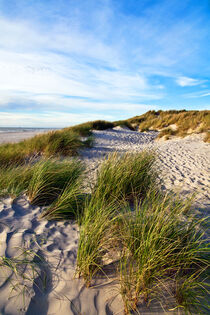 Magische Sanddüne an der Dänischen Küste in Jutland by captainsilva