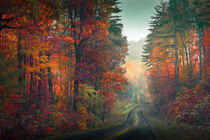 Adirondack Autumn  von William Schmid