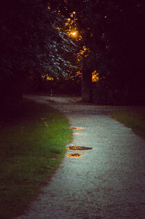 Romantic park way in the evening von Ingo Menhard