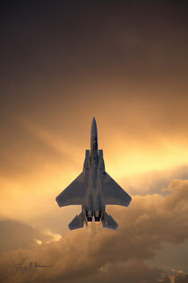 F-15 Straight Up von Larry McManus