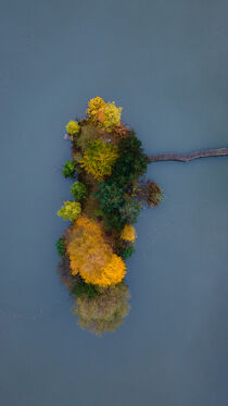 Little Island, Stampach Pond by Tomas Gregor