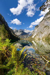 Obersee von Dirk Rüter