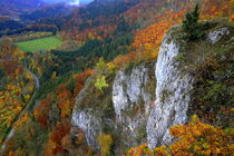 Eichfelsen im Donautal von Patrick Lohmüller