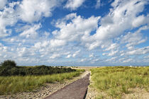 Weg zum Strand von Eric Fischer