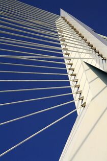 Erasmusbrücke Rotterdam by Udo Beck