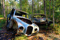 Autofriedhof in Kyrkö Mosse Schweden - Lost Places