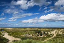 Zwei Wege in den Dünen by Eric Fischer