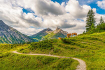 Wanderpfad im Lechquellengebirge by mindscapephotos