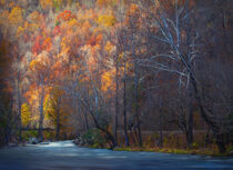 Nantahala River - Western North Carolina von William Schmid