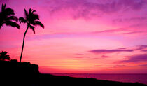 Tropical Sunset with Palm Trees von Christopher Seufert