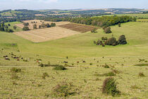 Cissbury Ring Rampart View von Malc McHugh