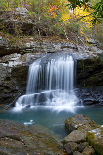 Paine Creek Waterfall 21 von Phil Perkins
