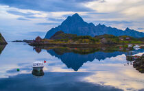 Blu Norway by Desiree Picone
