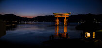 Night in Miyagjima von Desiree Picone