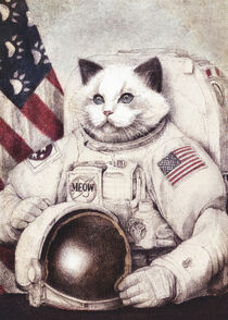 Meow Out in Space von Mike Koubou
