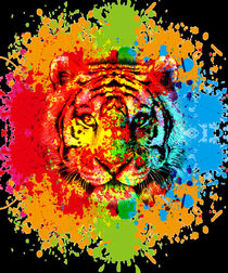 der stolze Tiger by Roger Naef