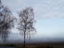Wenn der Tag aus dem Nebel erwacht I by Anja  Bagunk