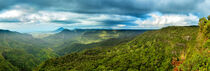 Black River Gorges Nationalpark von Dirk Rüter