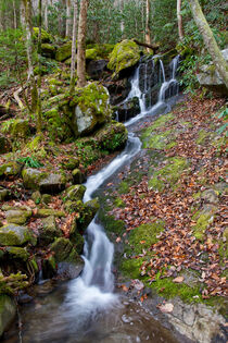 Small Waterfall In Forest von Phil Perkins