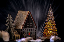 Concept Christmas : Christmas greetings by Michael Naegele