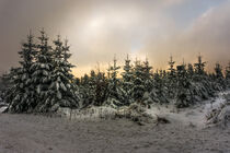 Thüringer Winterwald by tr-design