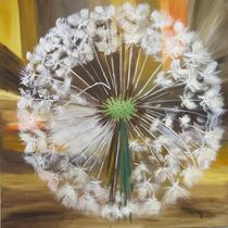 Pusteblume / dandelion by Gertrud Uhr