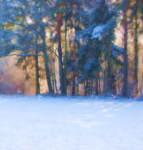 Winter von Bärbel Stangenberg