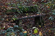 Sitzbank im Wald von Eric Fischer