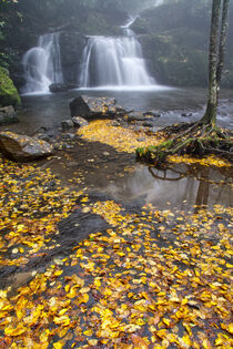 Indian Flats Falls 10 by Phil Perkins