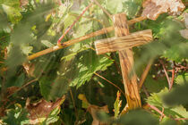 Holzkreuz im Wein von ollipic