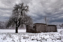 Swabian snow scenery von Michael Naegele