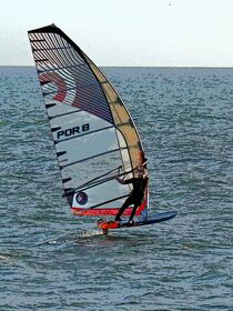 Windsurfer von vogtart