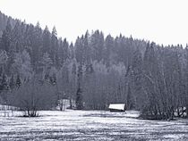 Waldhütte im Winter von vogtart