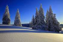 Feldberg mit Schnee by Patrick Lohmüller