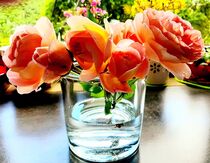 Englische Rosen - Sommer am Fenster von Heike Jäschke