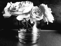 Englische Rosen schwarz-weiss von Heike Jäschke