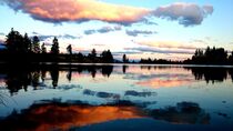 Sky Reflections von Anna Calloch