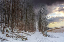 DE - Baden-Württemberg : Winterlandschaft von Michael Naegele